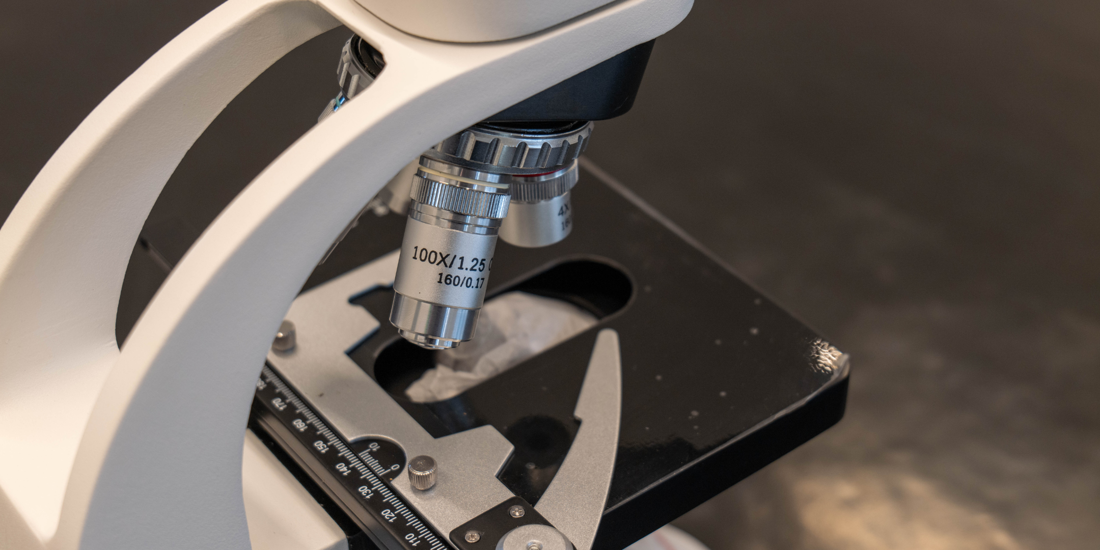 microscope